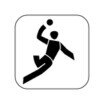 Logo Handball